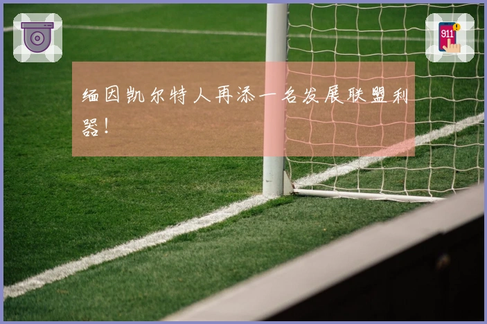 缅因凯尔特人再添一名发展联盟利器！